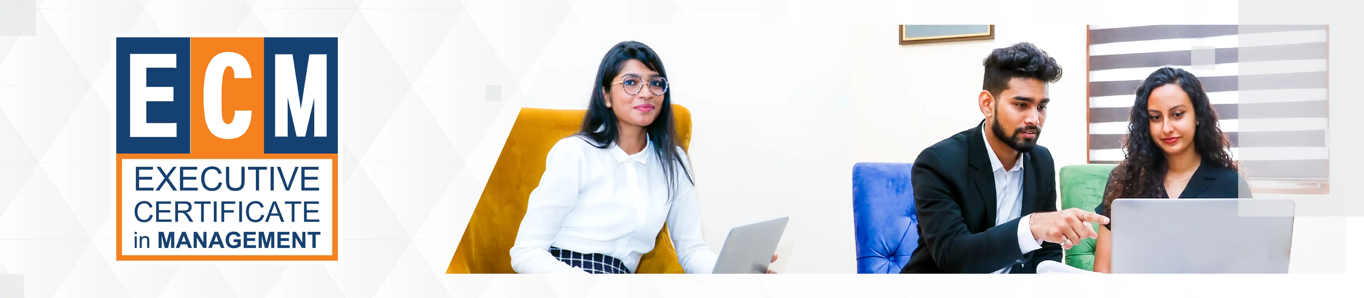 Executive Certificate in Management Banner