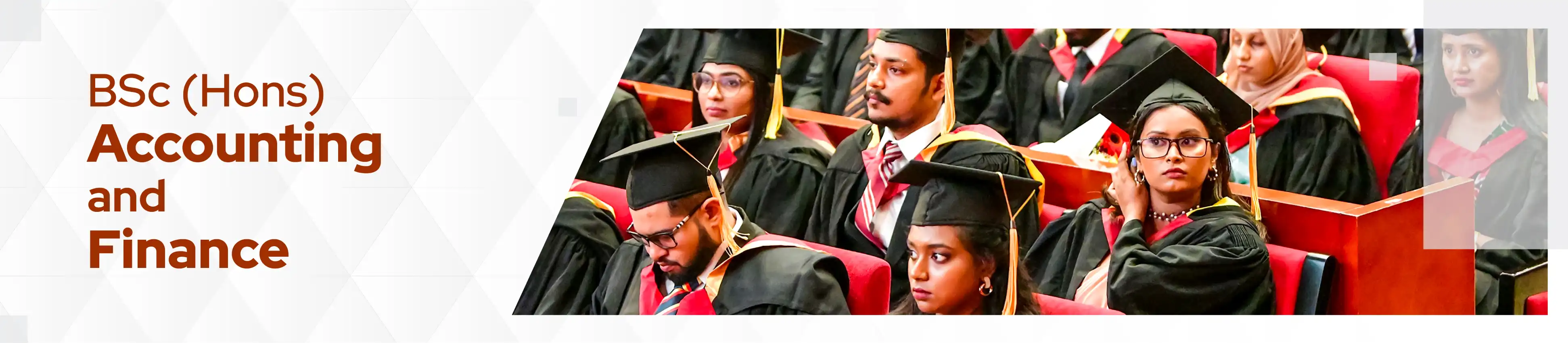 BSc (Hons) Accounting and Finance Banner