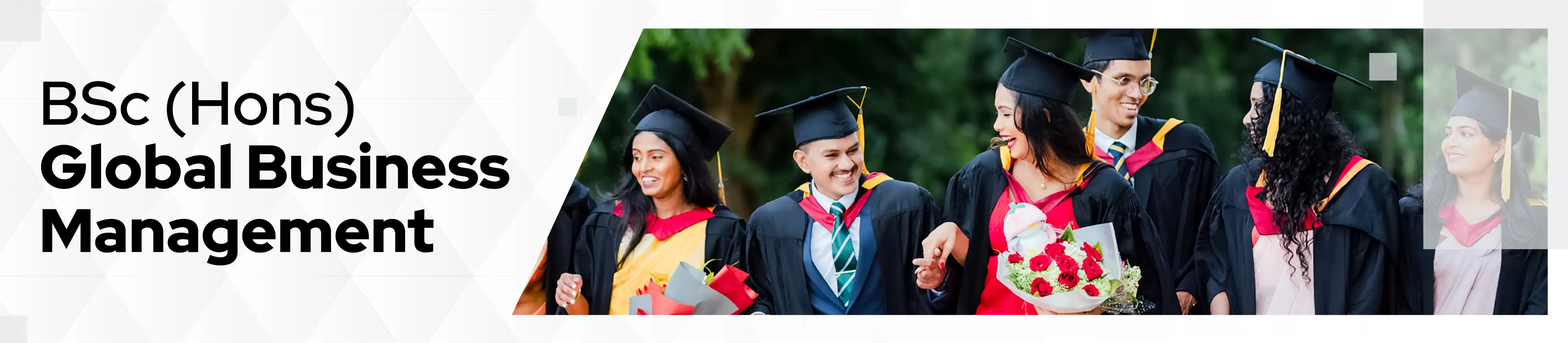 BSc (Hons) Global Business Management Banner