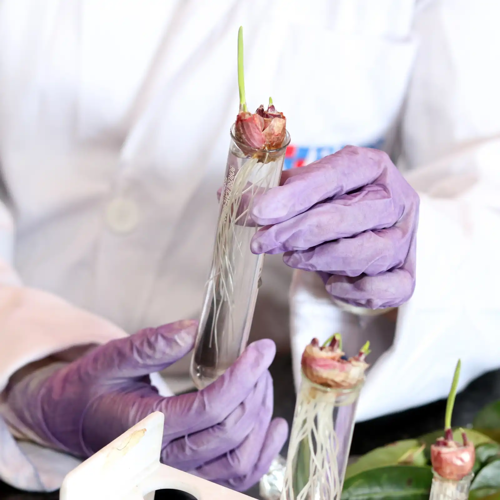 Higher Diploma in Biotechnology Students